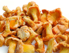 Cantharellus cibarius / Congelado
